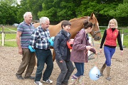 Horses for courses - equine-assisted psychotherapy for mental health