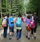 Experts call for government to fund mental health training in all schools