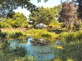 Going back to nature