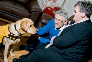 First two dementia dogs start work with owners