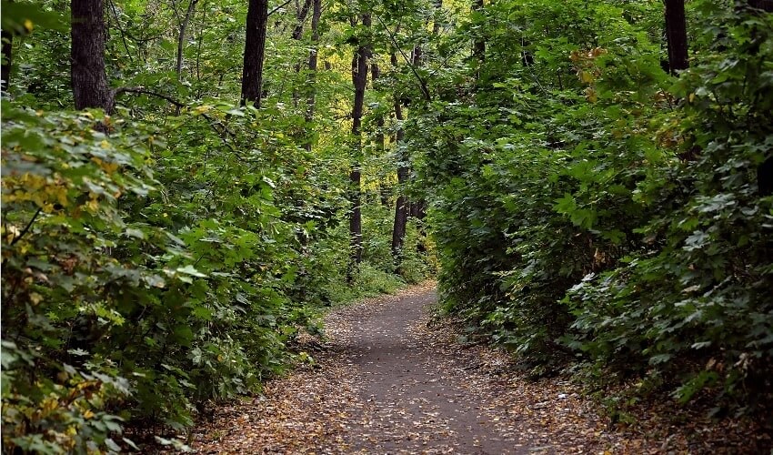 Green space Green space