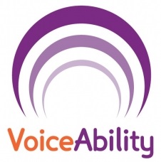 VoiceAbility smaller