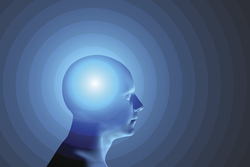 brain resized