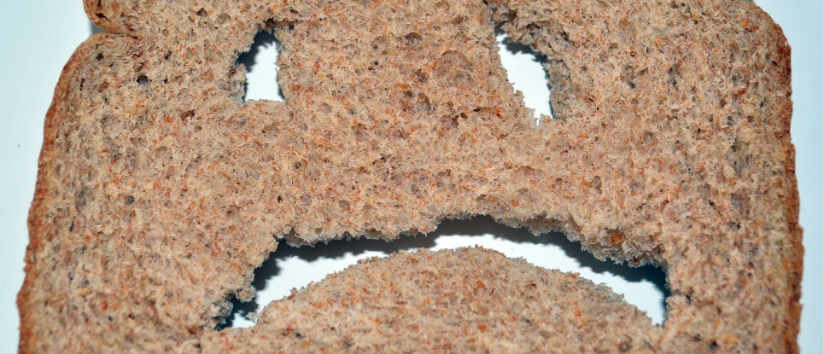 IBS 824 x 354.jpg