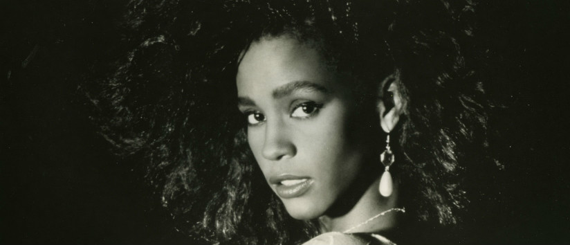 Whitney Houston 824 x 354.jpg