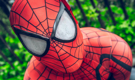 Spiderman 524 x 312.jpg
