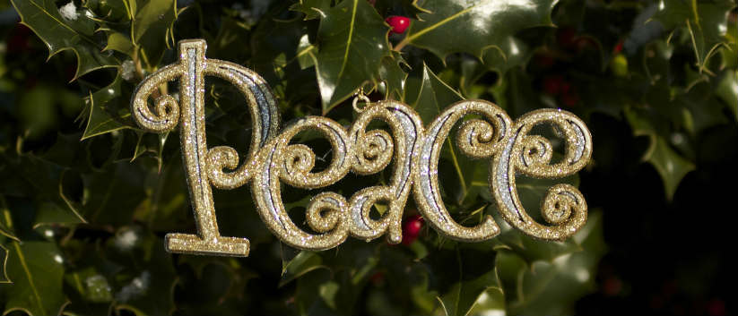 Christmas peace 824 x 354.jpg