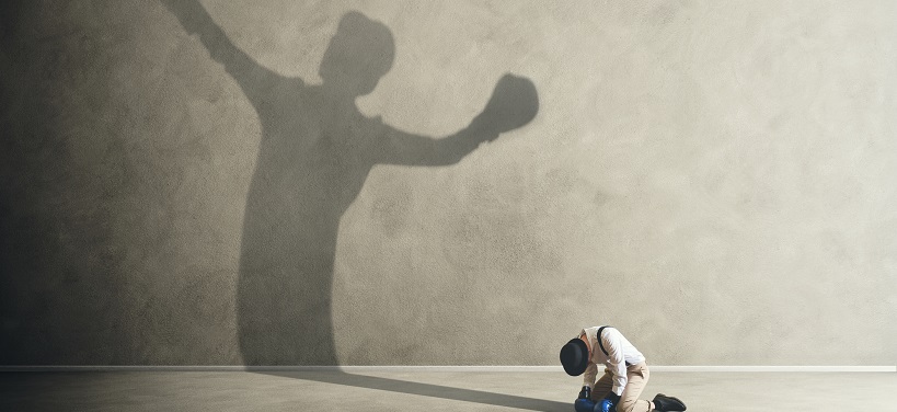 Boxer primary.jpg