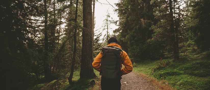 man walking through pine forest alone, in yellow coat