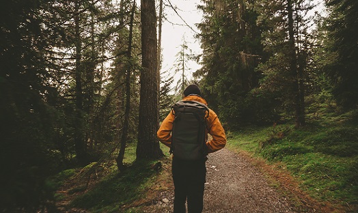 man walking through pine forest alone, in yellow coat