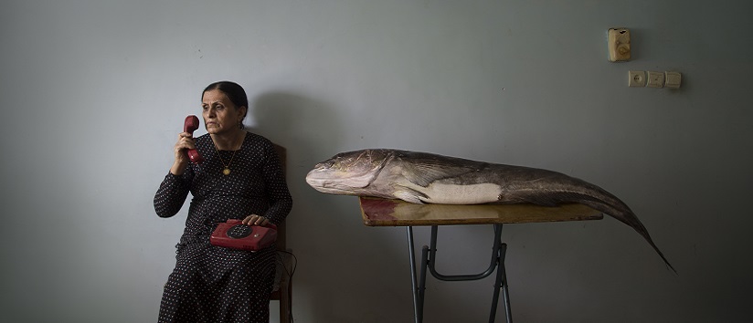 The big fish prime.jpg