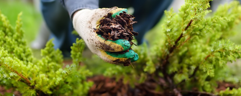 ‘Growing better mental health through nature’ in Greater Manchester