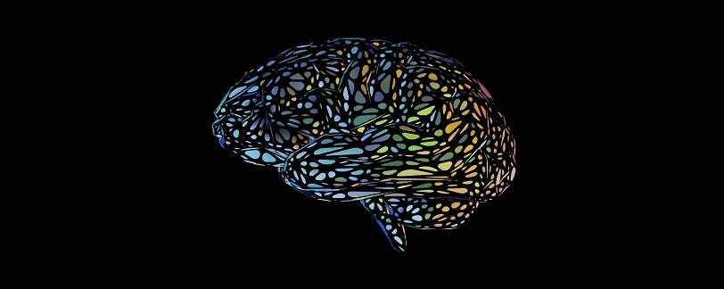 Neurovascular study uncovers distinct sex-based biological markers of depression
